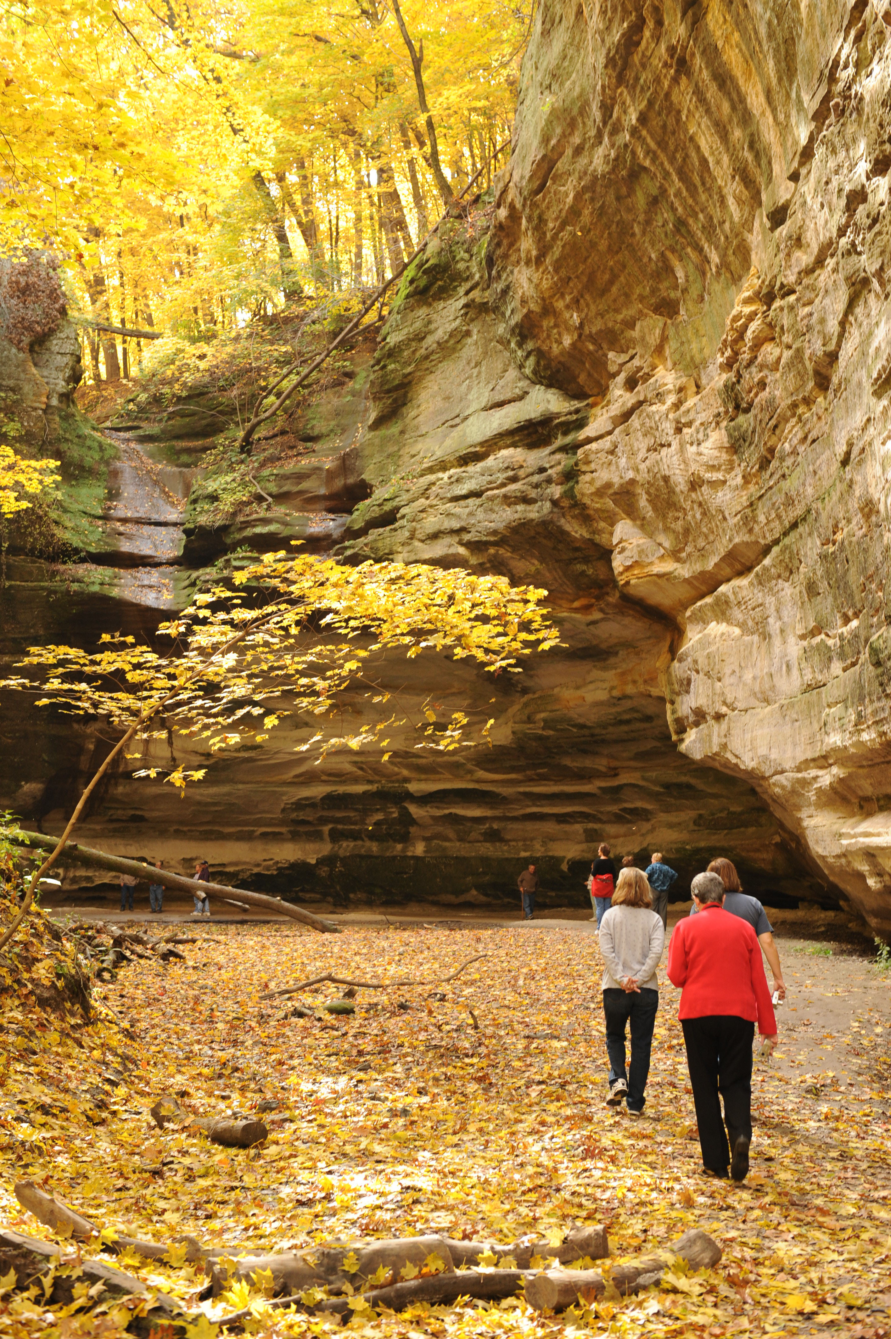 Group hiking in Starved Rock State Park