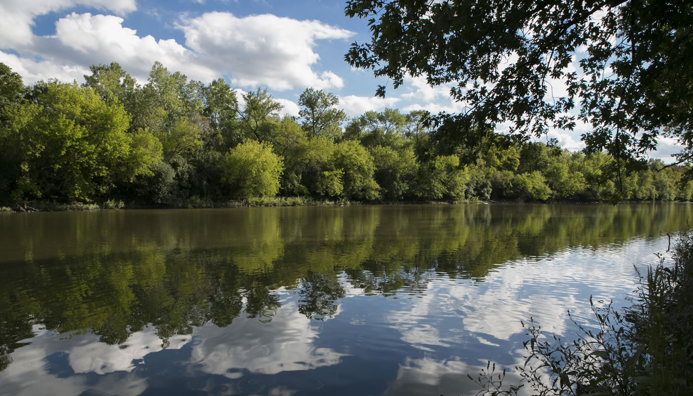 View of Columbia Woods and Des Plaines River