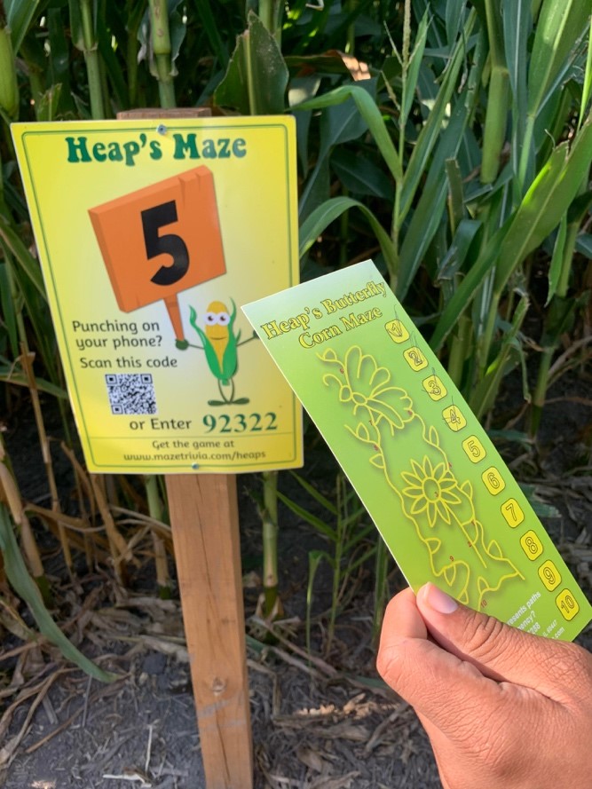 Heap's corn maze checkpoint with map