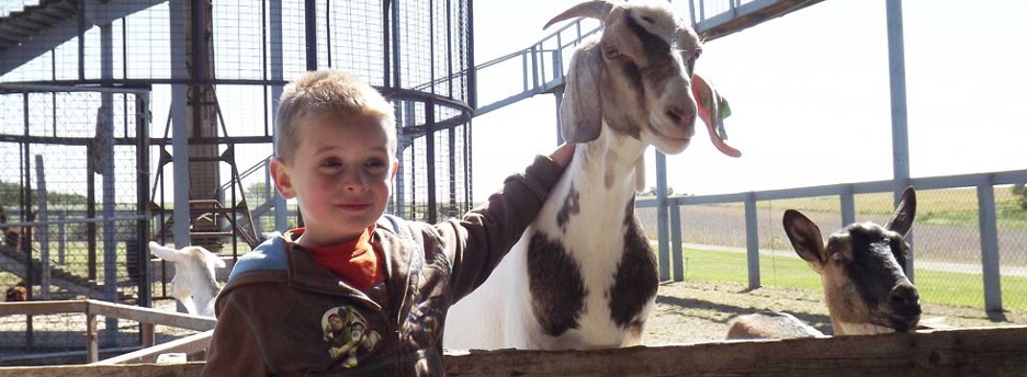 Boy and a Goat at Boggio's in Granville, IL