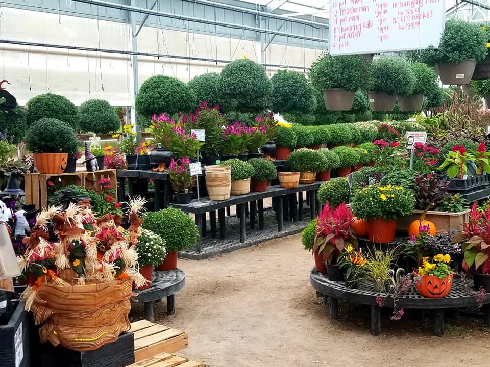 a green house filled with flowers and plants