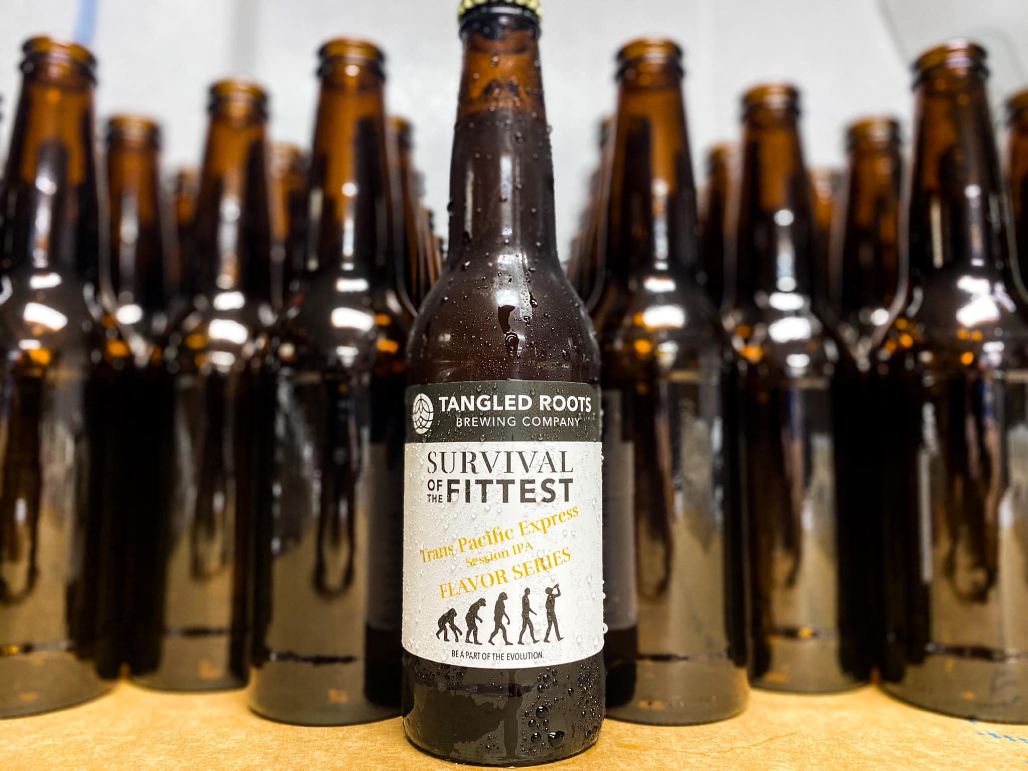 several bottles of Tangled Roots beer
