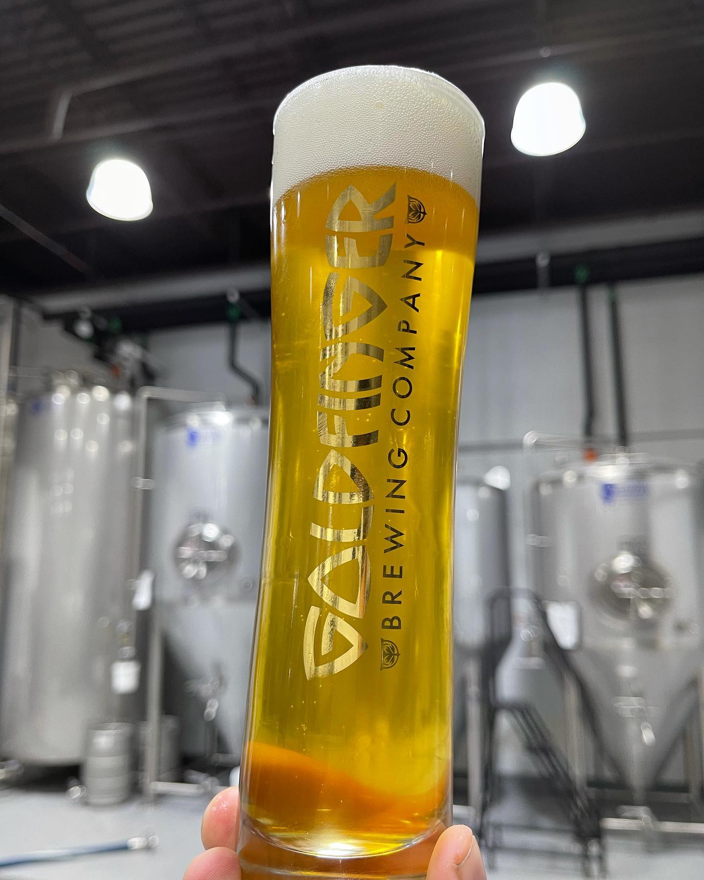 Tall glass of Pils from Goldfinger Brewing