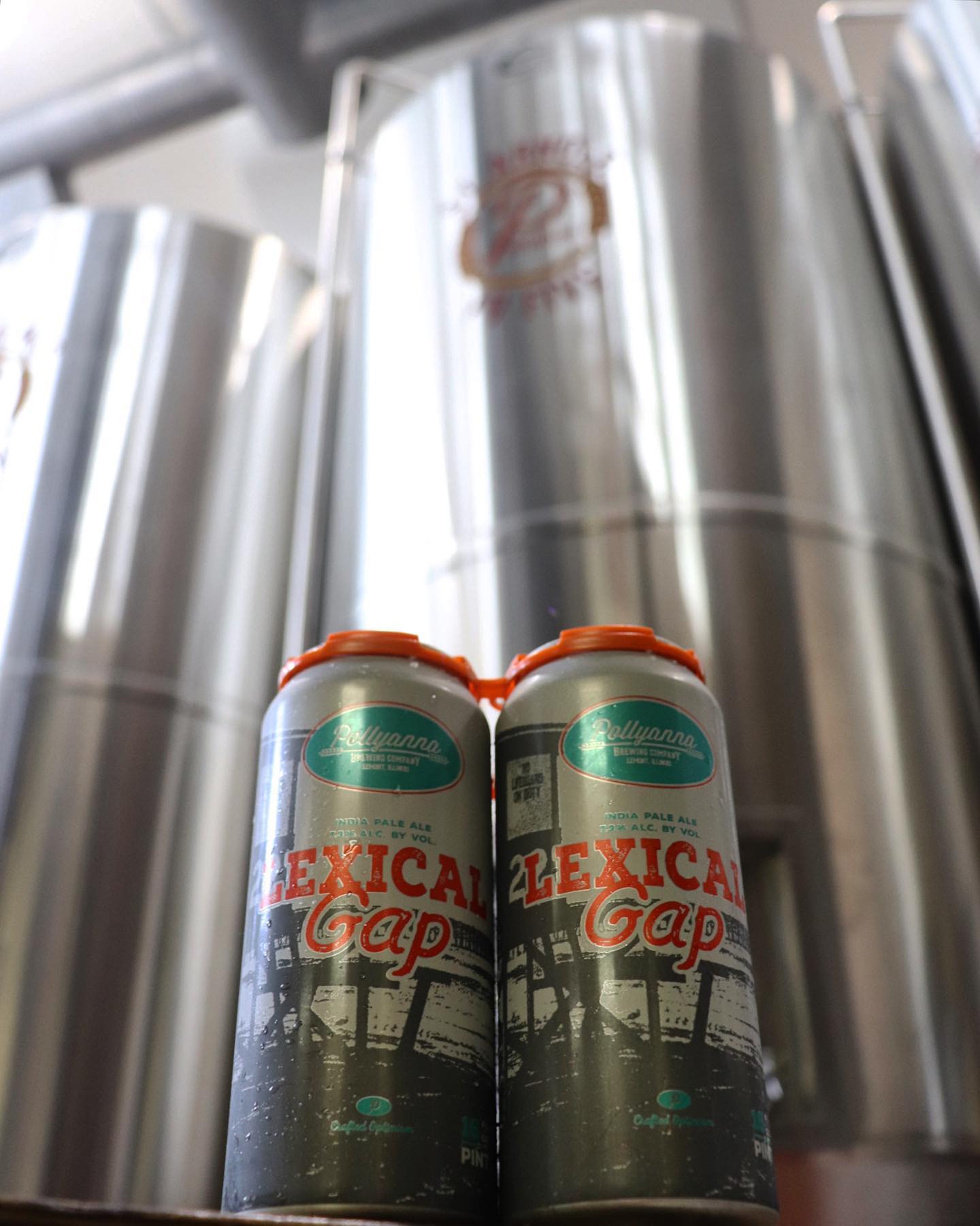 Four pack of Pollyanna Brewing Co's Lexical Gap in front of their brewing vessels