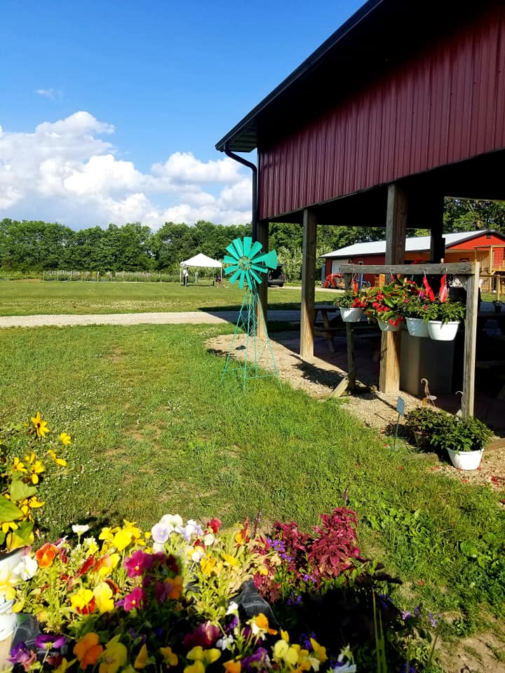bronkberry farms open fields