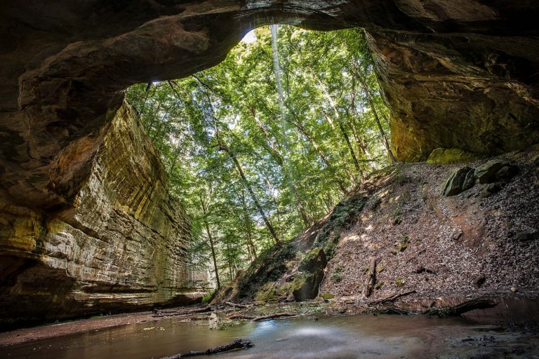 starved rock cave image with tree line view