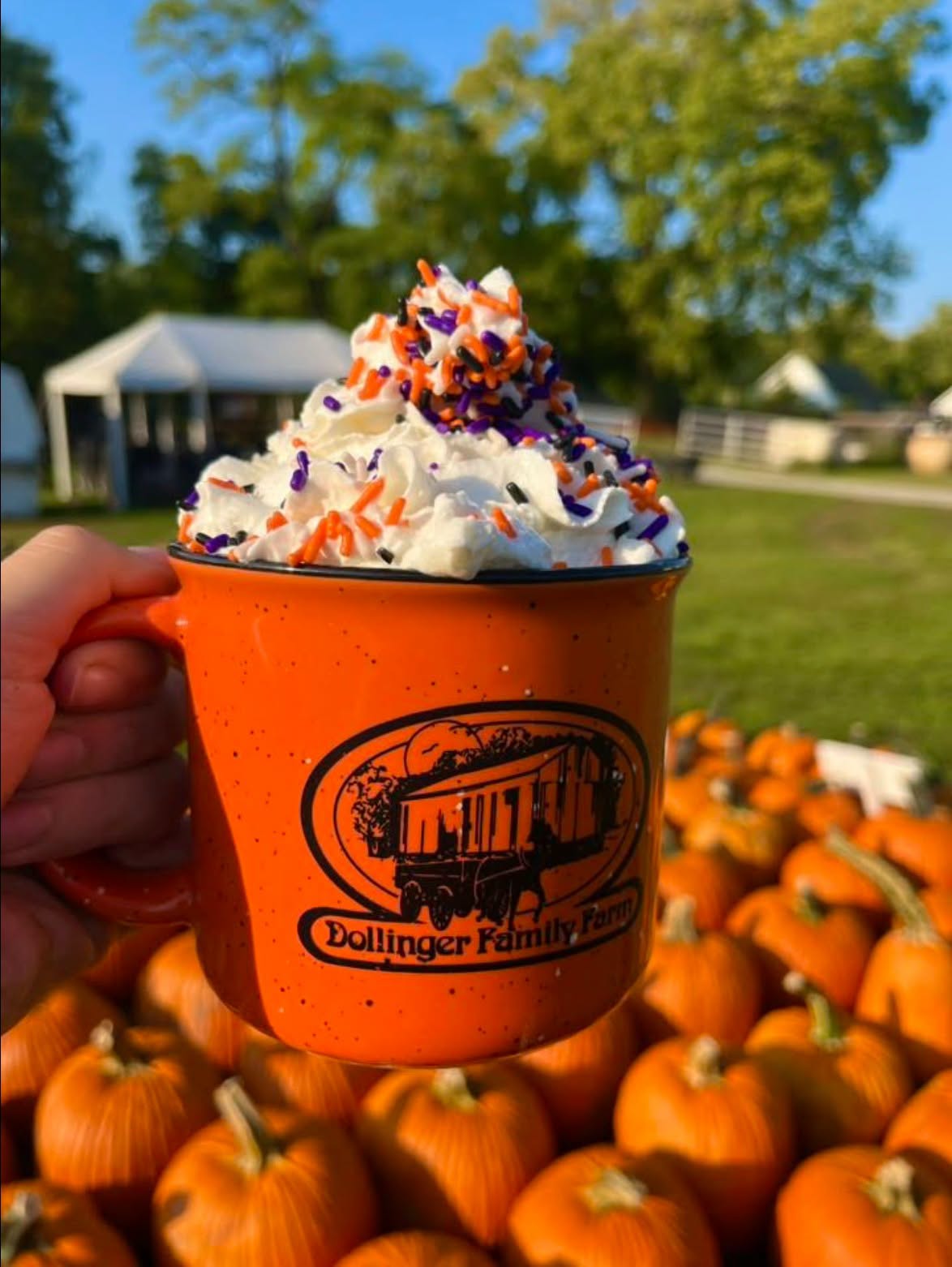 DollingerFamFarmMug.jpeg