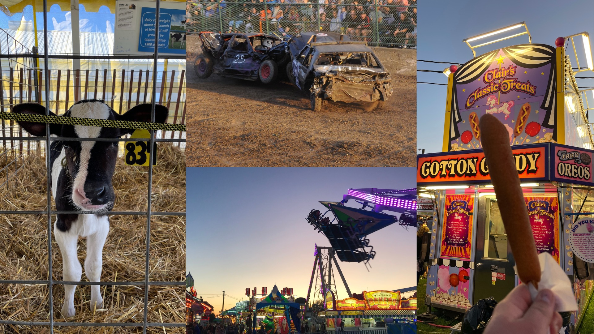 WIll County Fair | Heritage Corridor Destinations - Visitors - Calendar of  Events