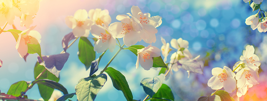 What Spring Looks Like Around the Heritage Corridor | Heritage Corridor
